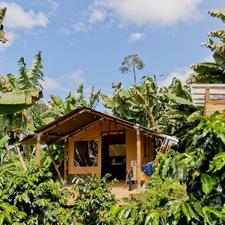 Glamping Jardin Otel Dış mekan fotoğraf
